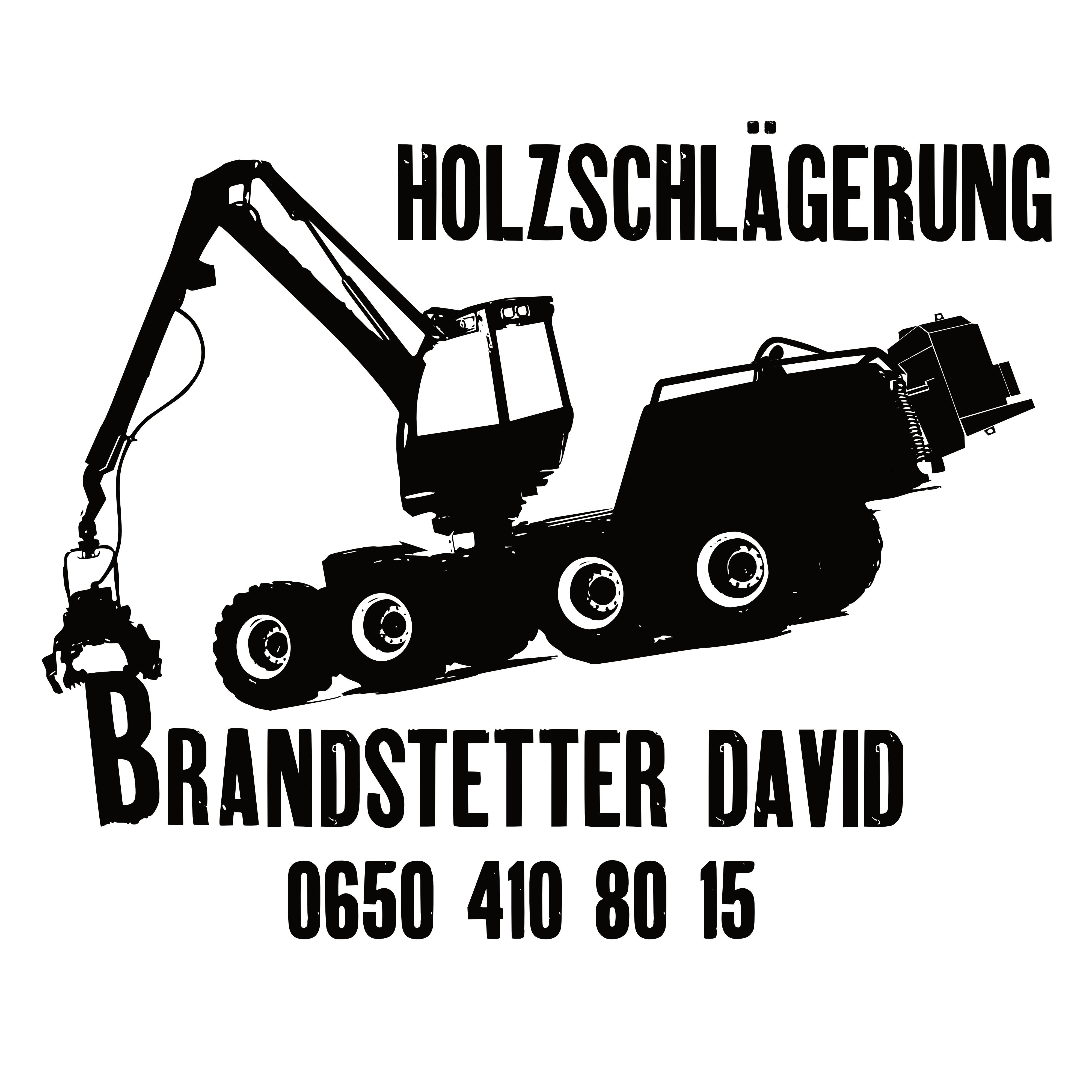 Brandstetter David